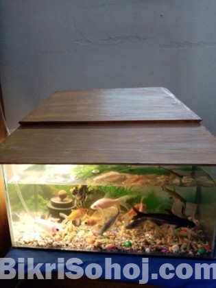 Fish with Aquarium